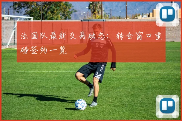 法国队最新交易动态:转会窗口重磅签约一览